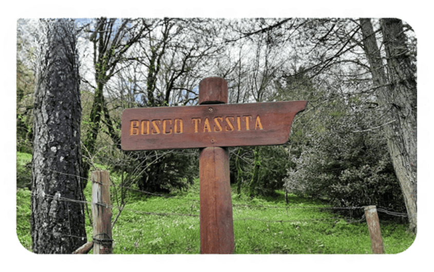 Bosco della Tassita - Attrazioni Sicilia