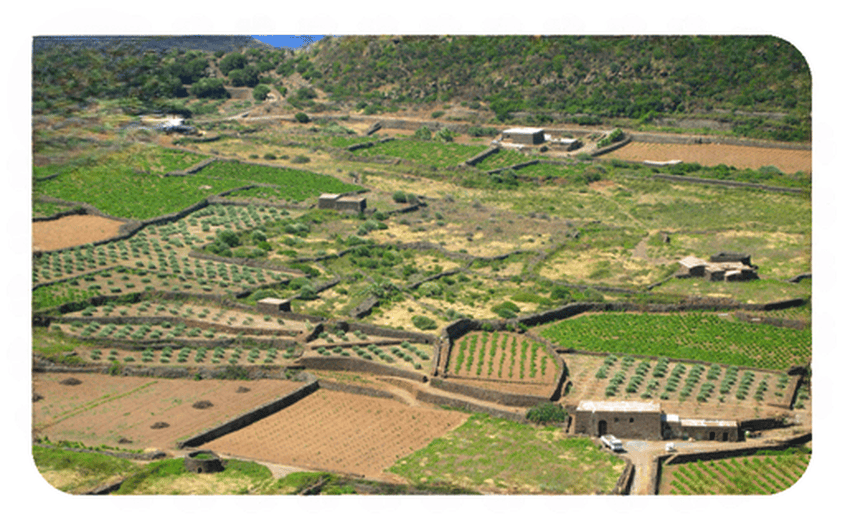 Pantelleria
