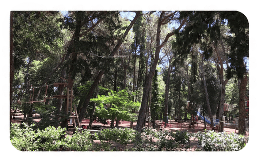 Parcallario